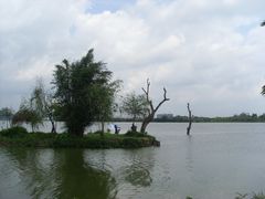 SL387160-鹤之洲湿地公园