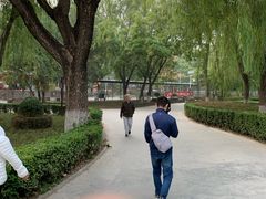 -康庄公园