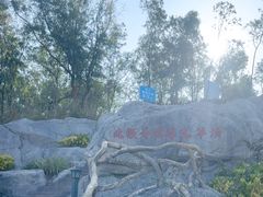 -沙扒湾