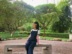 -晓港公园