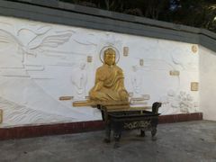 -大金鹰园