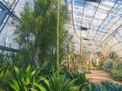 -北京植物园-展览温室