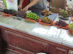 -马陆小张葡萄园农家乐