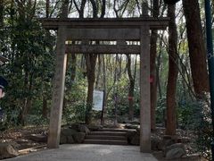 -宝石山