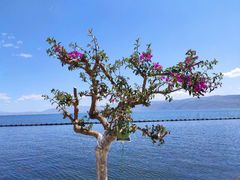 -大理无舍度假酒店