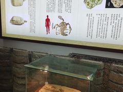 -千年银杏谷文化旅游区