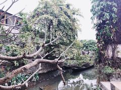 -小洲村