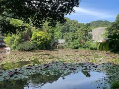 -野象谷景区