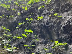 -野三坡百里峡景区