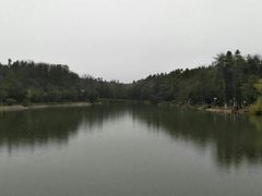 -象山森林公园