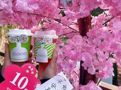 -金鸡湖桃花岛