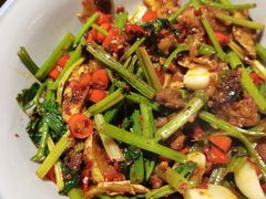 土芹菜削骨肉-山涧肴·泉水煮活鱼(坂田店)