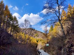 -苏木山森林公园