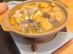 -粉灯牛腩牛杂煲·鸡煲(双井店)