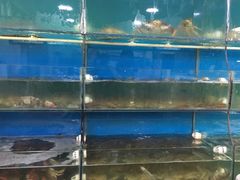 水产区-老郑海鲜楼(天桥店)