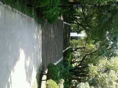 android_upload_pic-府山公园