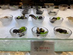 -半岛翡丽海鲜自助餐厅(观风亭店)