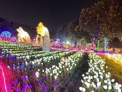-光明农场大观园