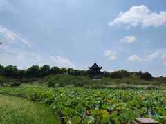 -上海海湾国家森林公园