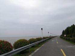 -水八仙生态园