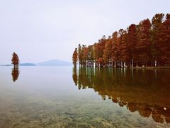 -四明湖