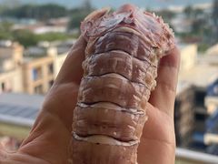 -鸿港海鲜批发市场