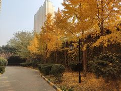 -西安理工大学(金花校区)