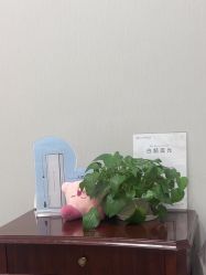 -禾丽康美医疗美容医院