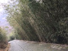 -南阳龙潭沟