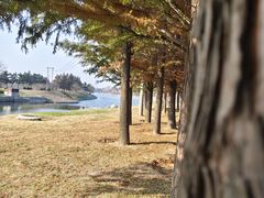 -羊亭河湿地公园