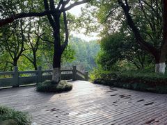 -杭州半山国家森林公园