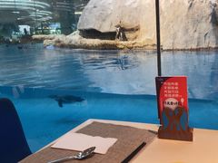 -帝企鹅自助餐厅•儿童岛•真企鹅(长隆企鹅酒店)