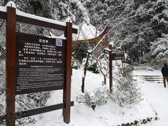 -庐山风景区花径公园