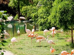 iphone_upload_pic-西安秦岭野生动物园