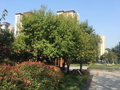 -木塔寺遗址生态公园