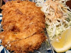 -山杏yama-katsu·吉列炸物