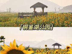 -杭州灵山景区
