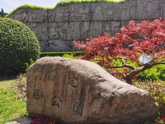 -嘉定紫藤园