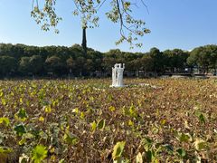 -谷咖啡·鲜花绿植花园餐厅