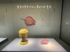 -山东博物馆