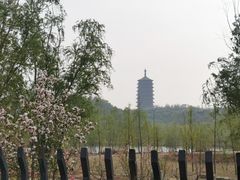 -永定河休闲森林公园