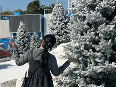 -汕头中海黄金海岸水上乐园