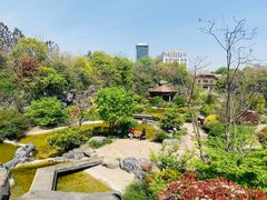 -上海吴淞炮台湾国家湿地公园