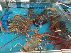 -清水湾3号(东方小周海鲜店)