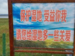 -郭莽湿地