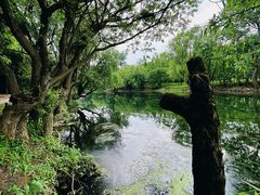 -贵阳市花溪国家城市湿地公园