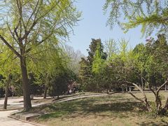 -旅顺博物馆