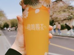 -鸡鸣赐茶(鸡鸣寺路店)