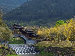 -云南屏边大围山国家公园
