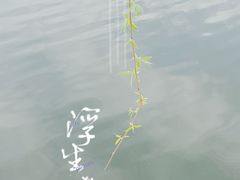 -文瀛公园